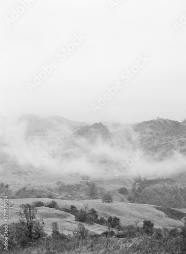 Valley Fog photo