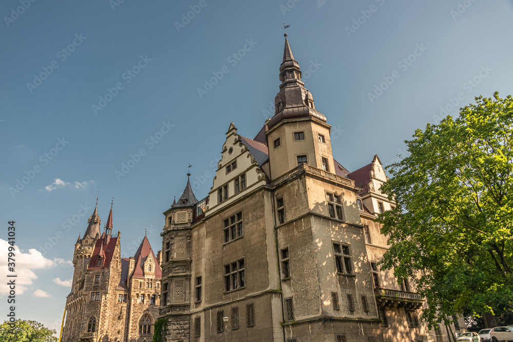 view of the Zamek w Mosznej. Moszna Castle - Beautiful castle and lilies in the foreground POLAND