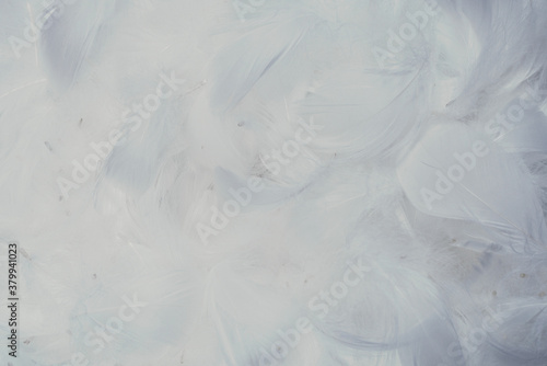 White soft feathers background.