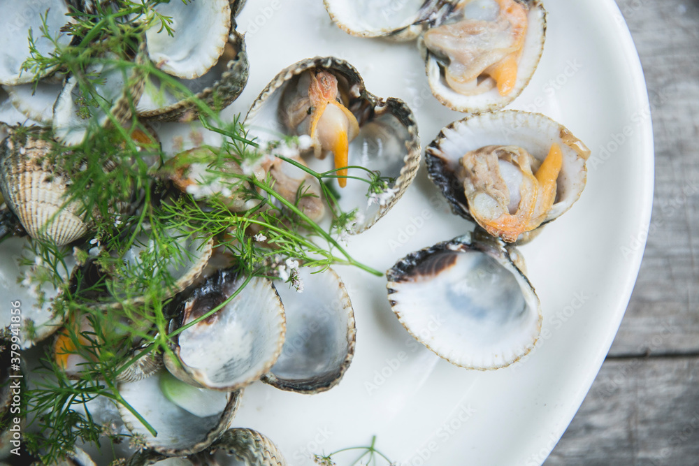 Scallops Scallops