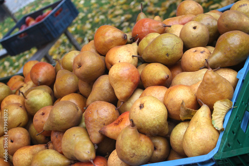 Photography Close up of ripe and freshness pears in a market, Prague, Czech Republic