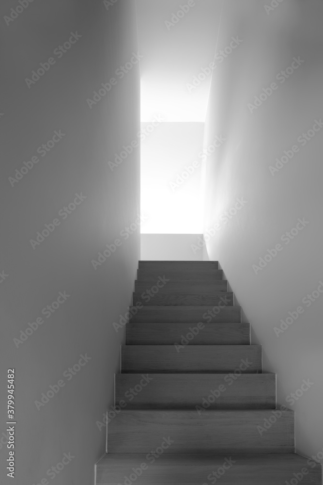 staircase in contemporary house staircase in contemporary house