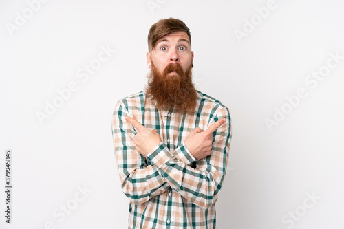 Redhead man with long beard over isolated white background pointing to the laterals having doubts