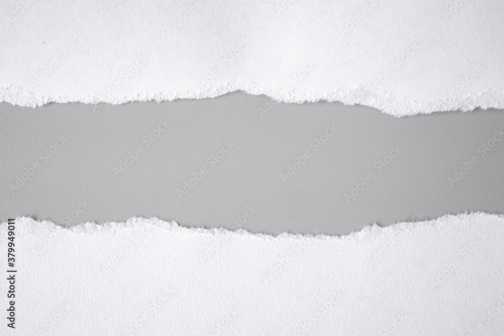 white torn paper on gray background. collection paper rip white torn paper on gray background. collection paper rip