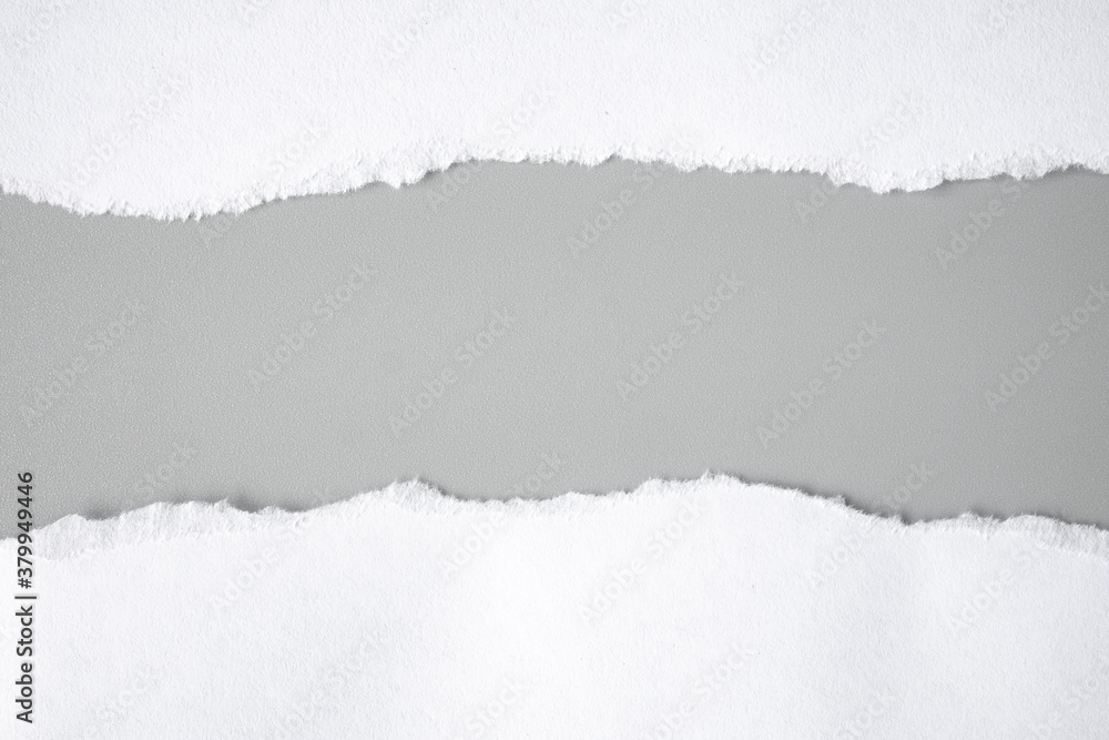 white torn paper on gray background. collection paper rip white torn paper on gray background. collection paper rip