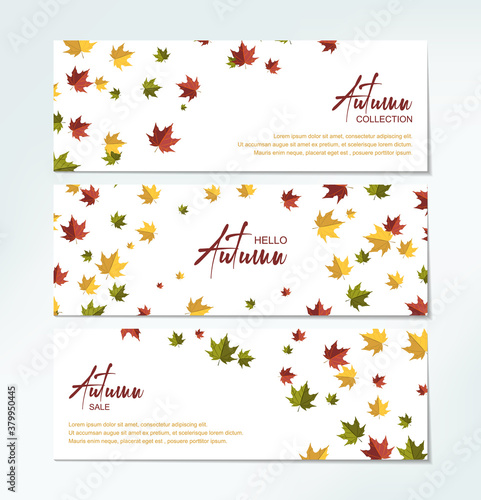 Pack of horizontal autumn designs with colorful falling maple leaves. Place for text. Vector illustration
