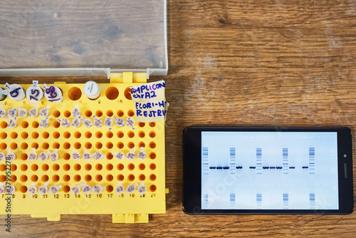 Cellphone with DNA sequence and test tubes in a genetic lab