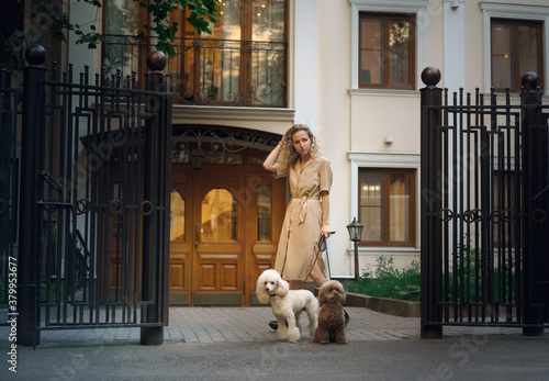 Canvas Print girl with two dogs in the city