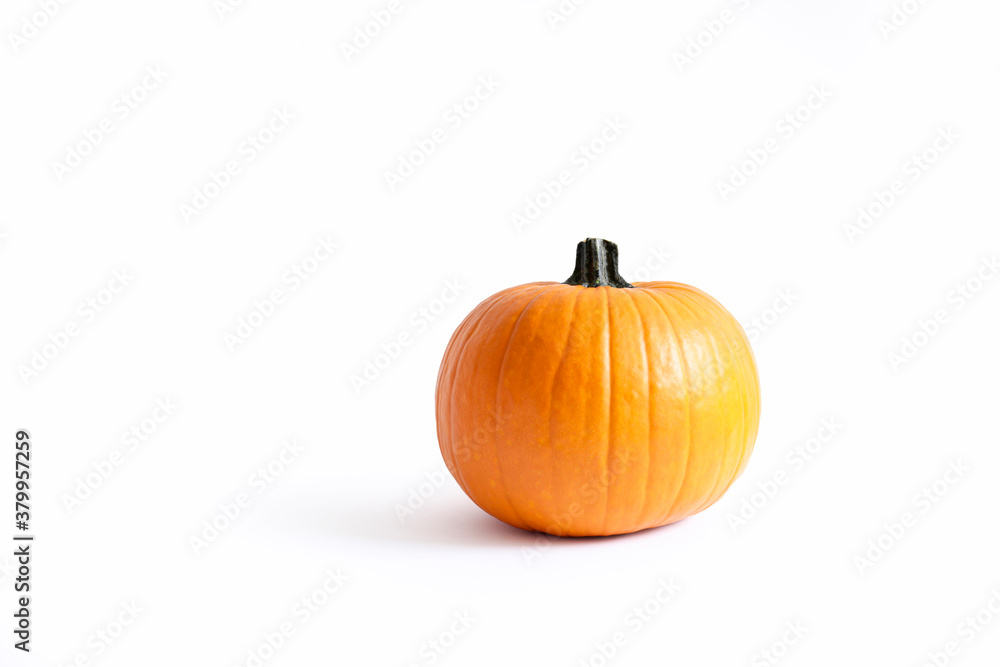 Close up shot of a single classic orange pumpkin isolated on bright background as a symbol of autumnal holidays with a lot of copy space for text. Close up shot of a single classic orange pumpkin isolated on bright background as a symbol of autumnal holidays with a lot of copy space for text.