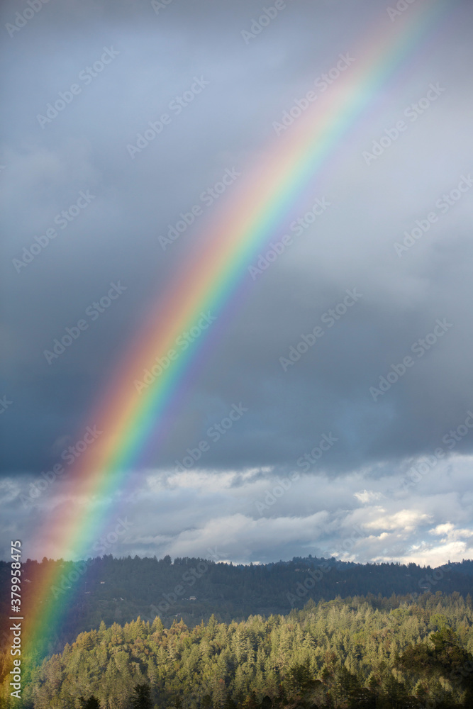 Vibrant rainbow over a valley of trees and clouds Vibrant rainbow over a valley of trees and clouds