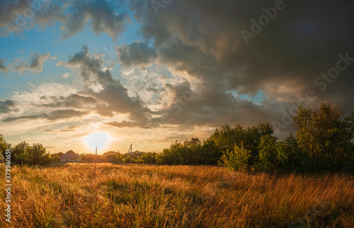 sunset in the evening in the village over a yellow field with thick grass and trees
