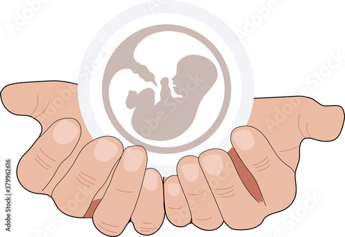 Baby in womb and hands. Pregnancy and health care of mother  and baby inside. Fetus symbol. Round logo of embryo and umbilical cord. Maternal fetus medicine. Embryo on a hands.  