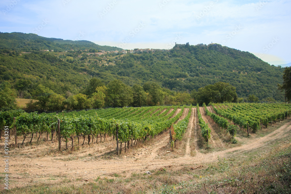 Winnica