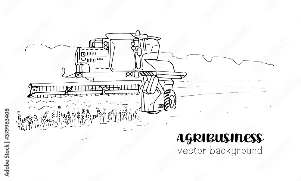 Agribusiness, combine harvester in the wheat field. Black and white illustration for agricultural business, isolated on a white background.
