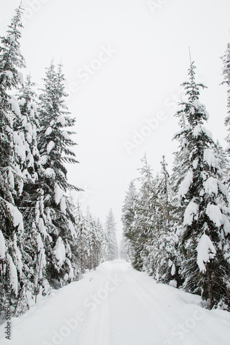 Snow covered road photo