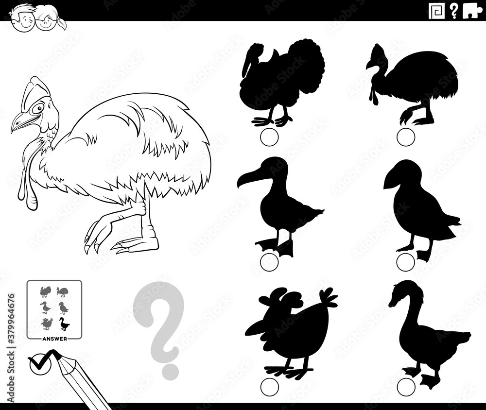 Fototapeta premium shadows game with cassowary character coloring book page