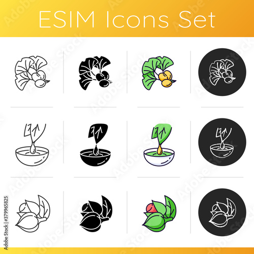 Natural additives icons set. Ginkgo biloba. Herbal extract. Guarana plant for energy drink supplement. Organic product. Linear, black and RGB color styles. Isolated vector illustrations