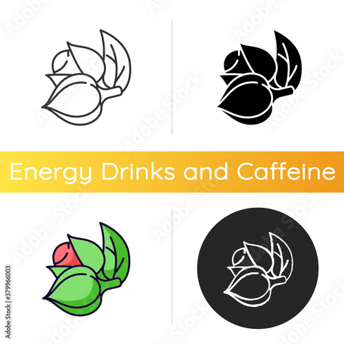 Guarana icon. Organic stimulant. Tropical plant. Supplement ingredient for energy drink. Herbal additive for nourishment. Eco booster. Linear black and RGB color styles. Isolated vector illustrations