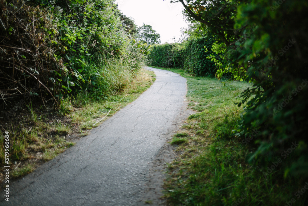 Winding path Winding path