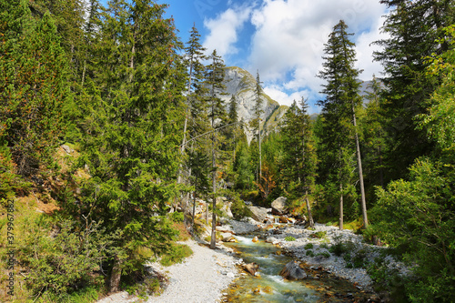 Forest and river with Le Moriond mountain behind in Vanoise national park, french alps, France photo