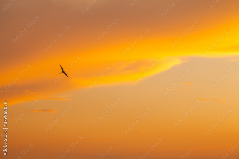 Sunset sky with clouds, beautiful orange landscape panorama skyline background