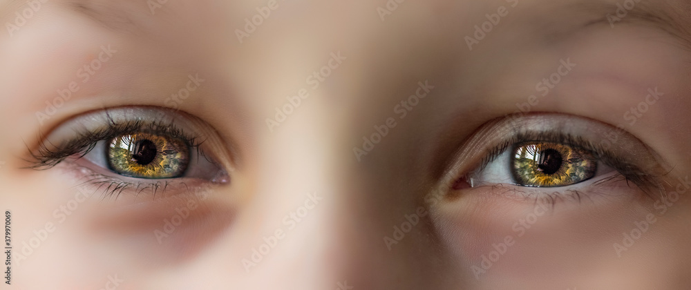 Naklejka premium Close-up of beautiful bright brown-green eyes of a girl.