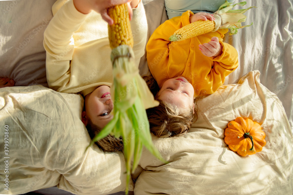 child plays at home on the bed Head down, somersault., Boy throws a pumpkin like a ball, lifestyle. autumn harvest of squash and corn child plays at home on the bed Head down, somersault., Boy throws a pumpkin like a ball, lifestyle. autumn harvest of squash and corn
