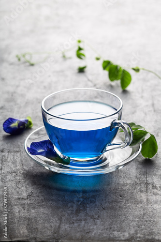Butterfly pea blue pea tea on grey concrete background.