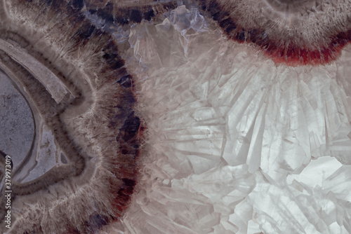 Closeup macrophotograph of a Septarian slice from Utah Jurassic crystal crystalline banded geologic specimen photo