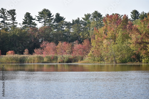 First signs of autumn 2020 - early fall foliage colors in the perimiter of Dallenbach's Lake in East Brunswick, New Jersey photo
