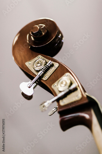 Cello Scroll photo