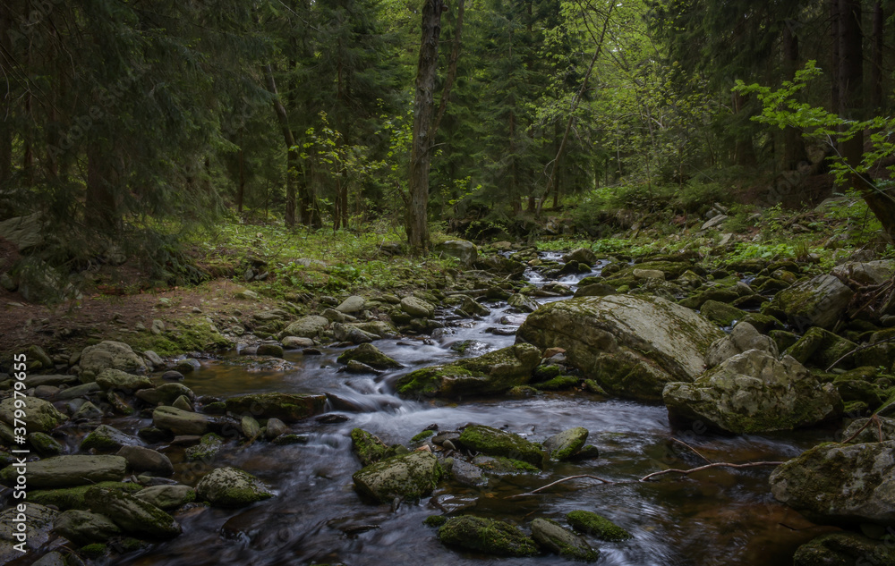 Clean flowing river in the middle of the forest. Clean flowing river in the middle of the forest.