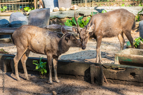Photography Zoo Kuala Lumpur, Malaysia, Animals, Birds, Reptiles