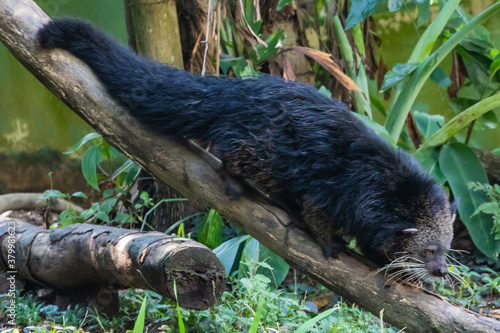 Photography Zoo Kuala Lumpur, Malaysia, Animals, Birds, Reptiles