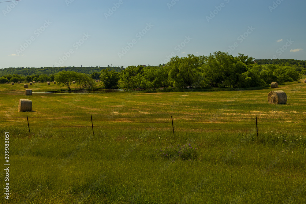 Fototapeta premium Round haybales in a field
