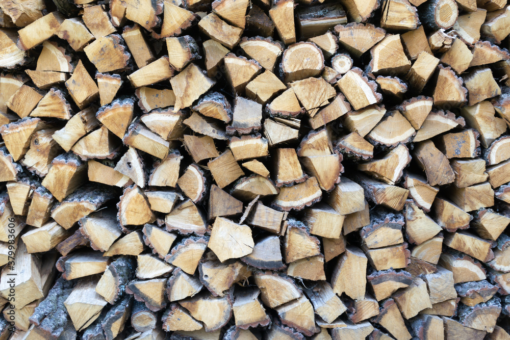 Lots of firewood background. Horizontal orientation.