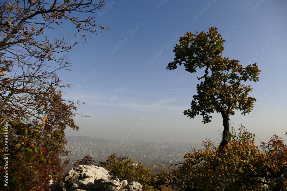 Budapest view from Janos hill with white rock and autumn trees