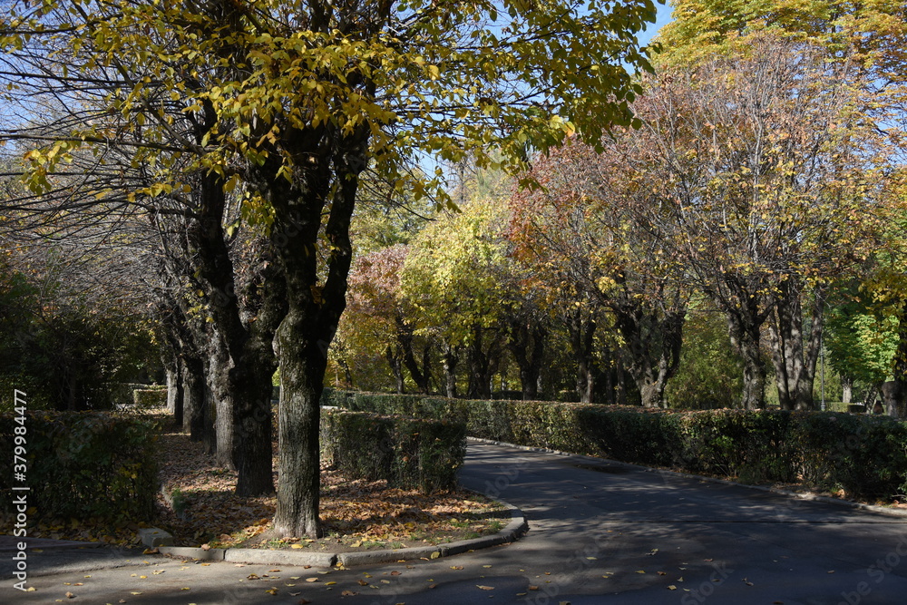 Naklejka premium Allphotokz Gorkiypark 20191026 4570 D810 S