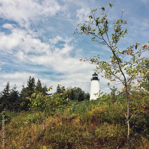Maine Lighthouse photo