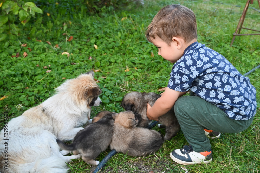 the child takes both puppies in his arms the child takes both puppies in his arms