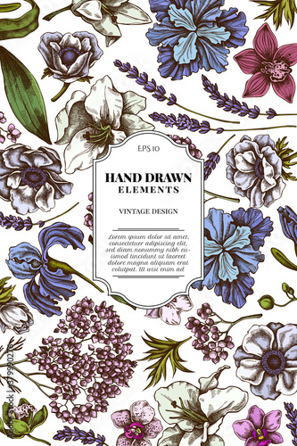 Card design with colored anemone, lavender, rosemary everlasting, phalaenopsis, lily, iris