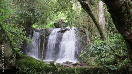 waterfall in the woods © joji