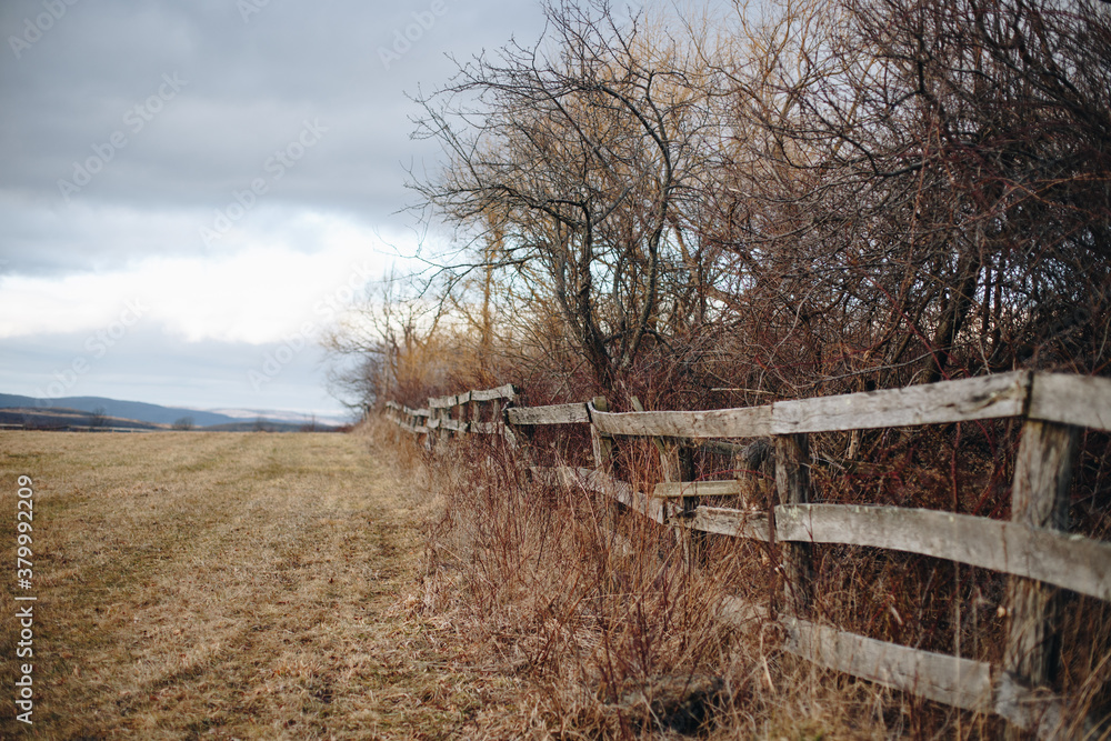 wooden fence with dead branches wooden fence with dead branches
