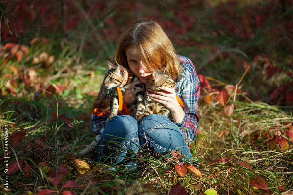 A beautiful girl in the autumn forest holds a Bengal cat in her arms. A beautiful girl in the autumn forest holds a Bengal cat in her arms.