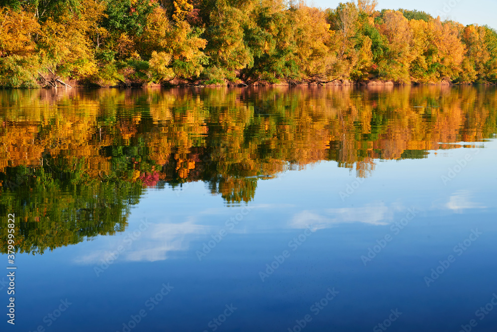 Fototapeta premium bright colorful autumn forest landscape, trees near river and blue sky
