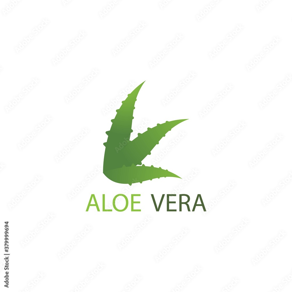 Fototapeta premium Aloe vera logo