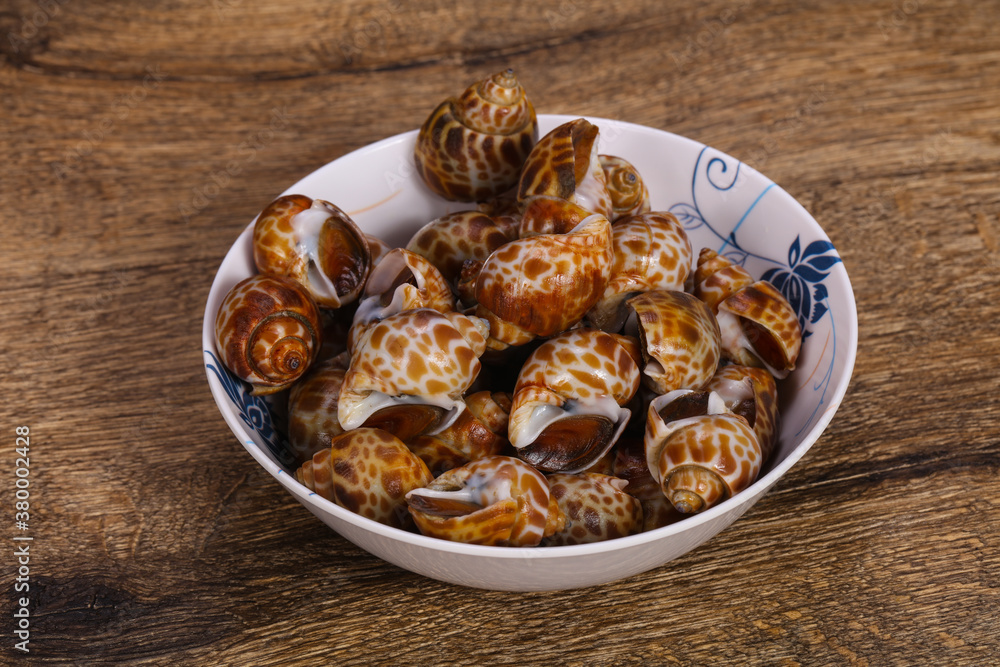 Tasty mollusk - spotted Babylon in the bowl Tasty mollusk - spotted Babylon in the bowl