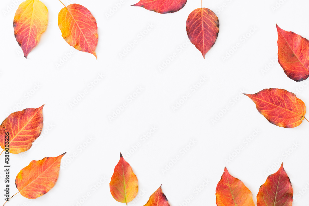 Flat lay frame with colorful autumn leaves on a white background Flat lay frame with colorful autumn leaves on a white background