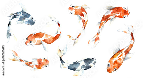 Set of illustrations with fish - koi carp. Isolated elements on a white background. Watercolor orange and blue fish for fabrics, banners, prints, postcards, gifts.