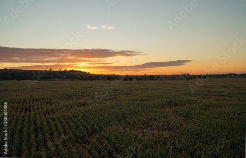 Sunset sky over the field. Dusk. © ReitNN